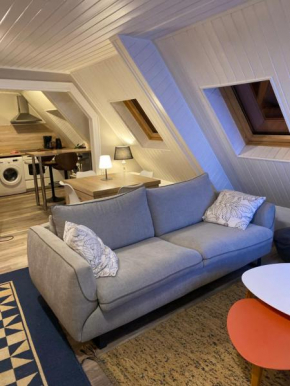Joli 2 pièces, climatisé avec terrasse, vue sur les toits, en zone piétonne